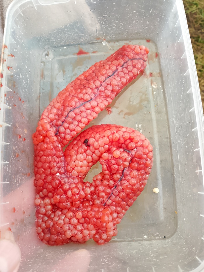    , , ,  , , , ,  , , ,  