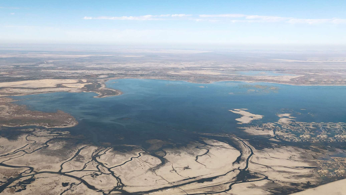 The Aral Sea: How did the water flow away, where did the fish go and is there hope? - Aral Sea, Desert, Nature, Animals, Wild animals, wildlife, Sea, A fish, Yandex Zen, Yandex Zen (link), Longpost
