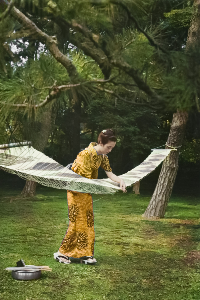 ��������: ������ ������