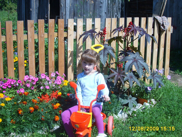 ����� 1. �������� � �������