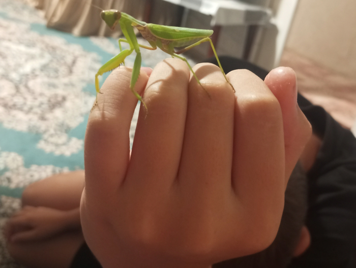      , , , 