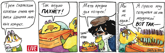    20.08.2025 , , ,   ()