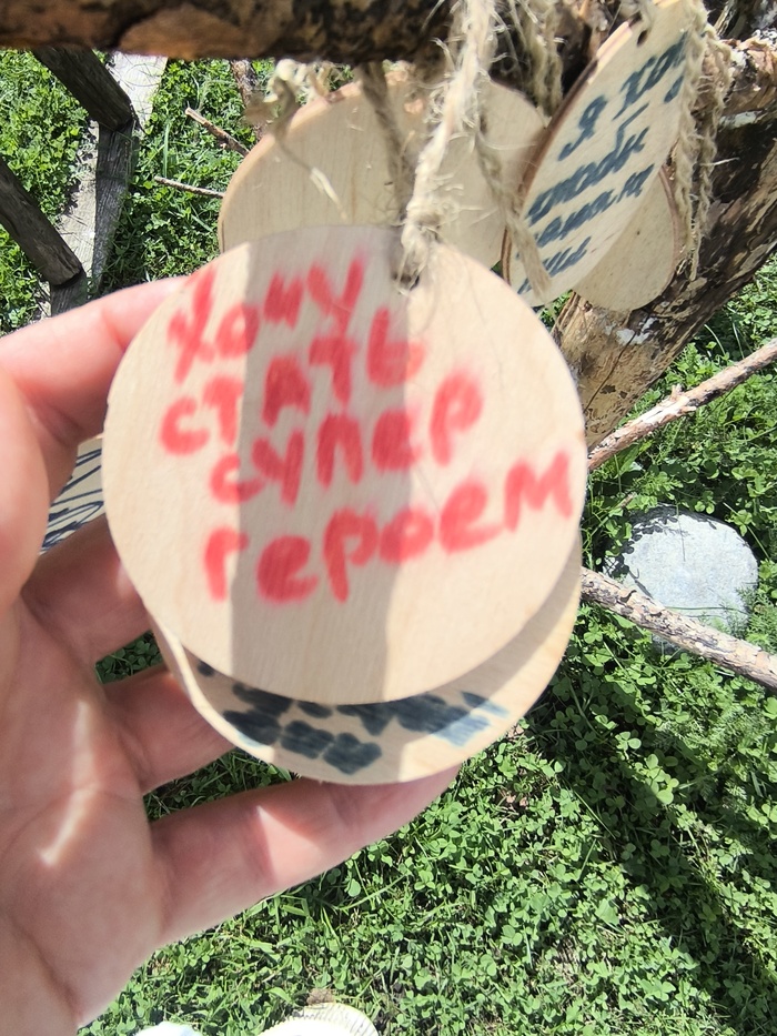 ���� ����� �����������