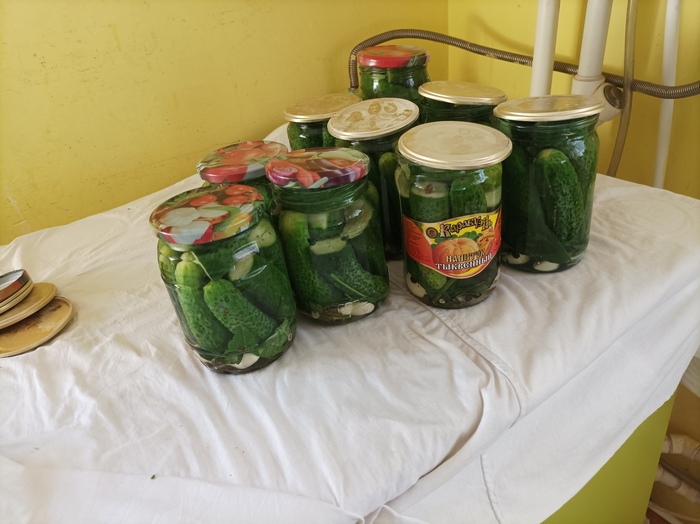 Огурчики желательны маленькие и плотные