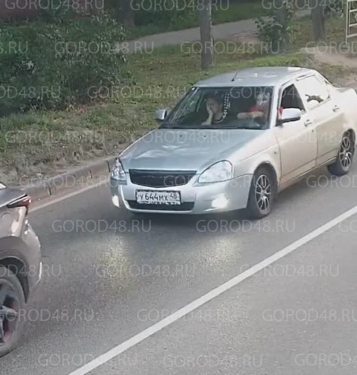      ,           , ,  ,  , 