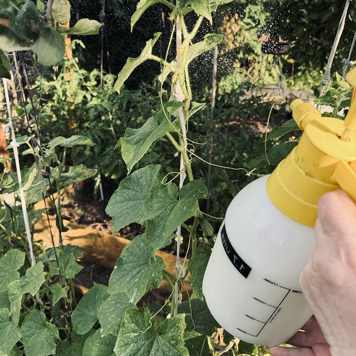 ������������ �������-������ ��������� - ��������� ������ �������� ������ �� ��������� ���� � ������ ������� ��� �����.