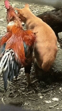     , , , , 