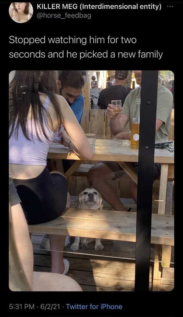 ������������� �������