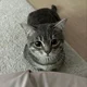 ������ ������������ tolkyn1123