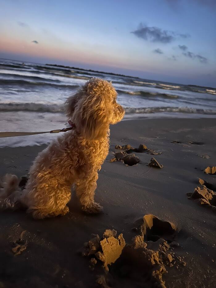 ���� ���� ��� ��������� ������ �� ��������