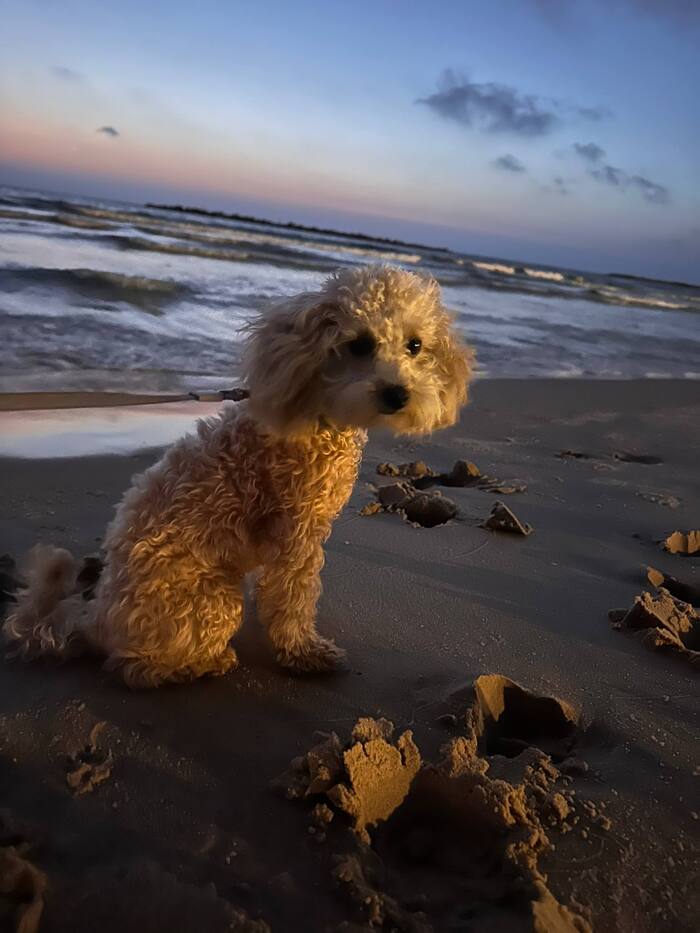 �� � ���� ��� ���������� ���-������. ������ ������� ��������.