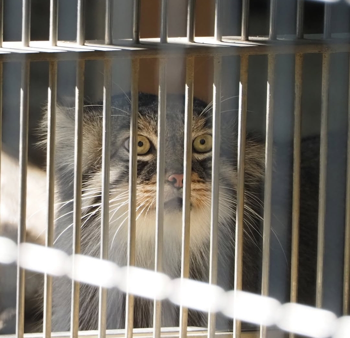 Когда не пускают к жене и детям