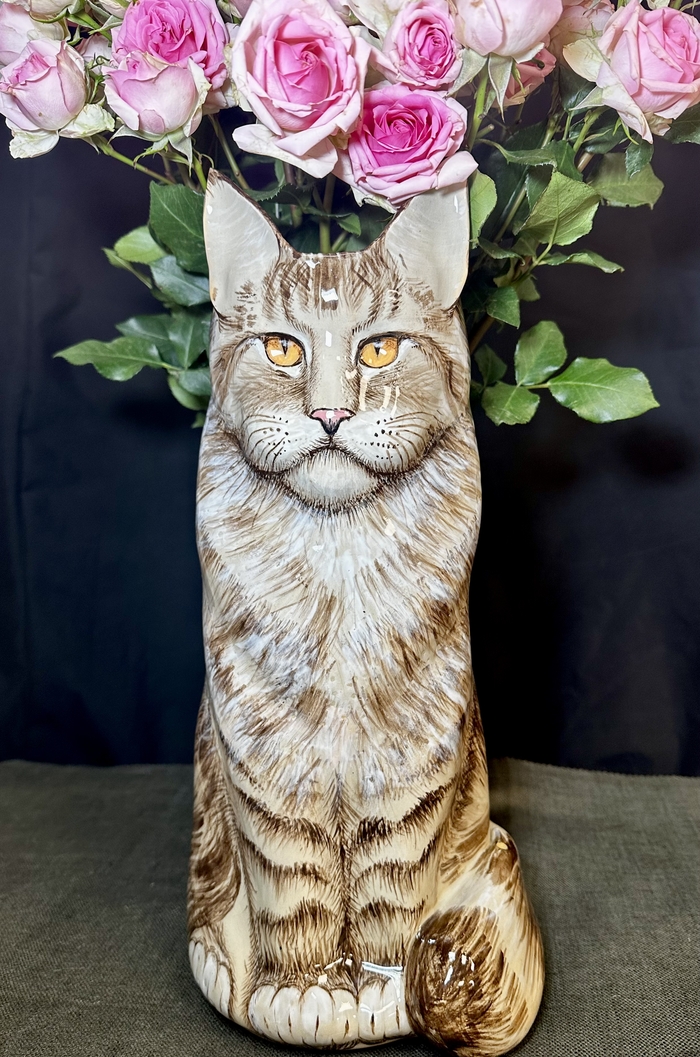  , ,  , -,  , , , , , , 