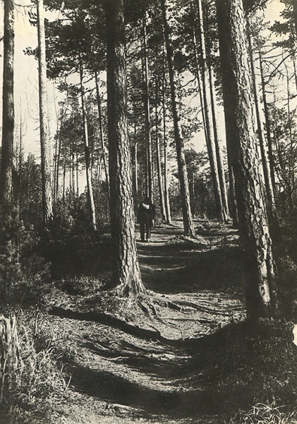Второй снимок не особо редок и относительно часто встречается в сети. Но он понравился мне свой атмосферой – тем более, что я часто бывал в этом месте. 