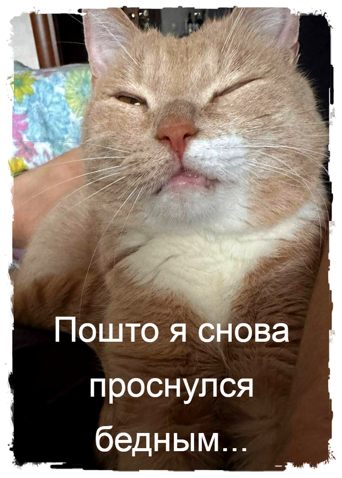 ... , ,   
