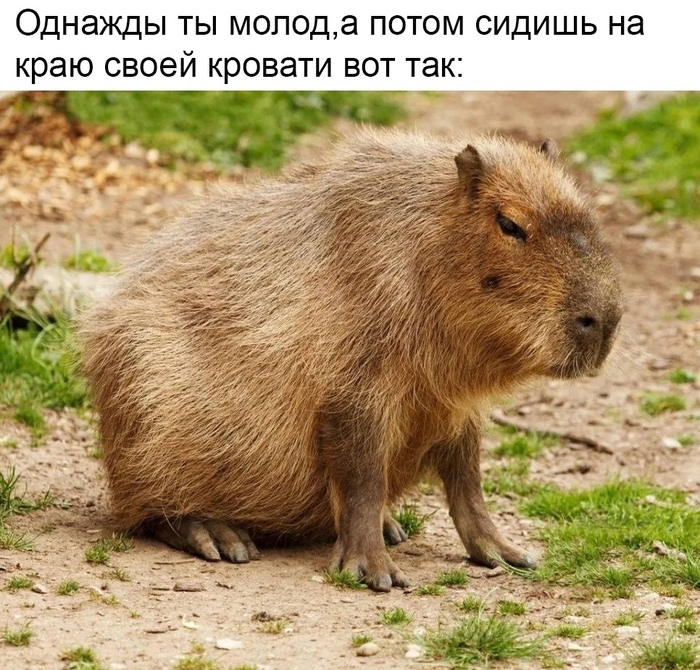 Грустно, но не за горами