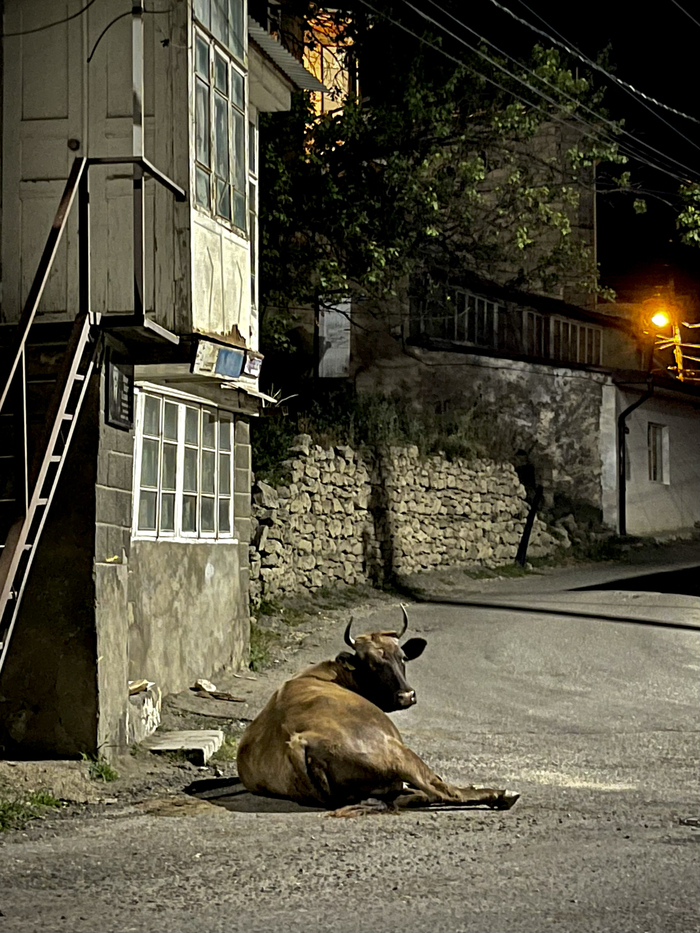 Вечерний Гуниб