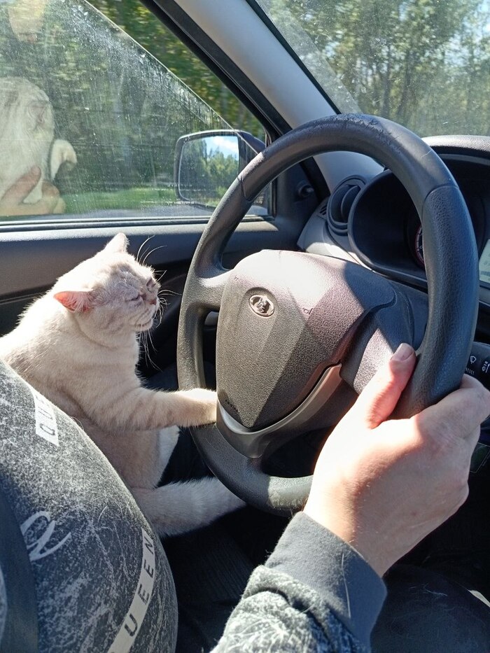  , , 