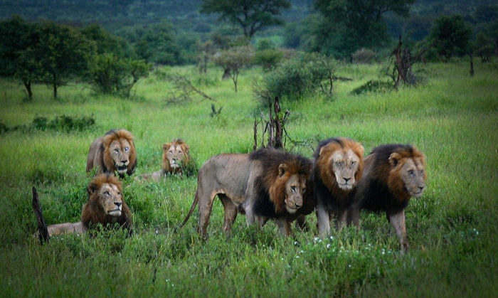          .       15 !  :        10 .