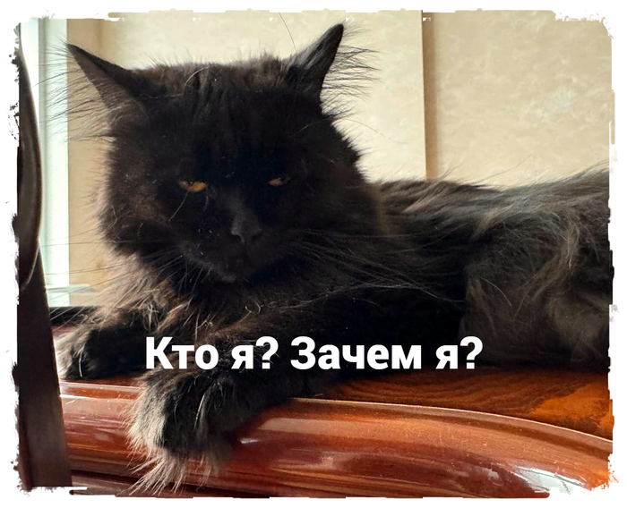 Важные вопросы