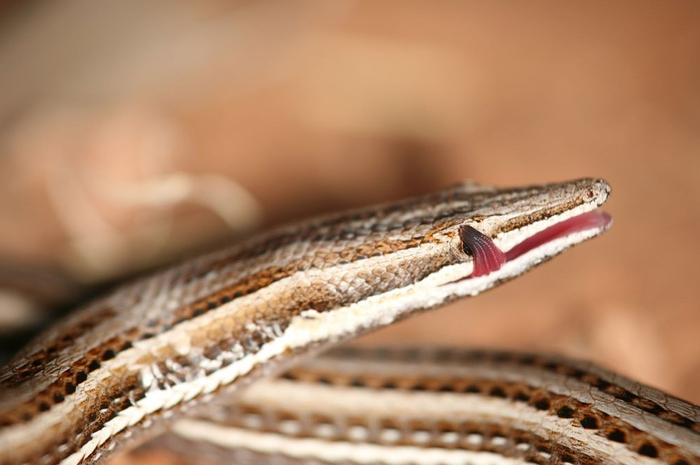 ��, ������, ���-�� � ���� ������...