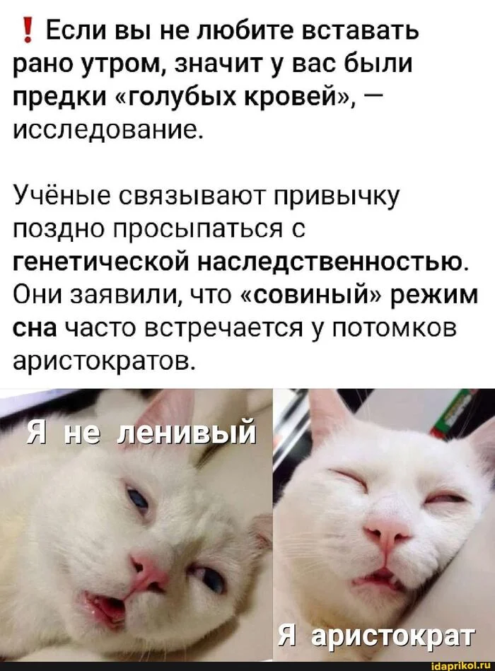 bhh2xlqw.webp