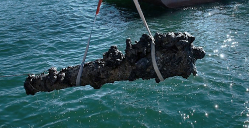        1710 .   ,          ?