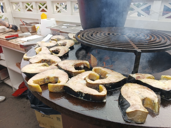 Мелкие абу-бундиты на ВДНХ