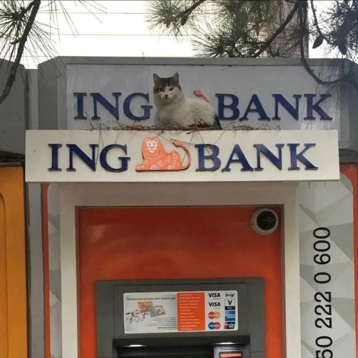   , , , 