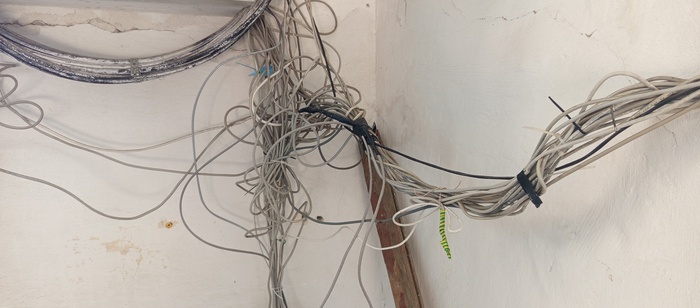 World Web) , 
