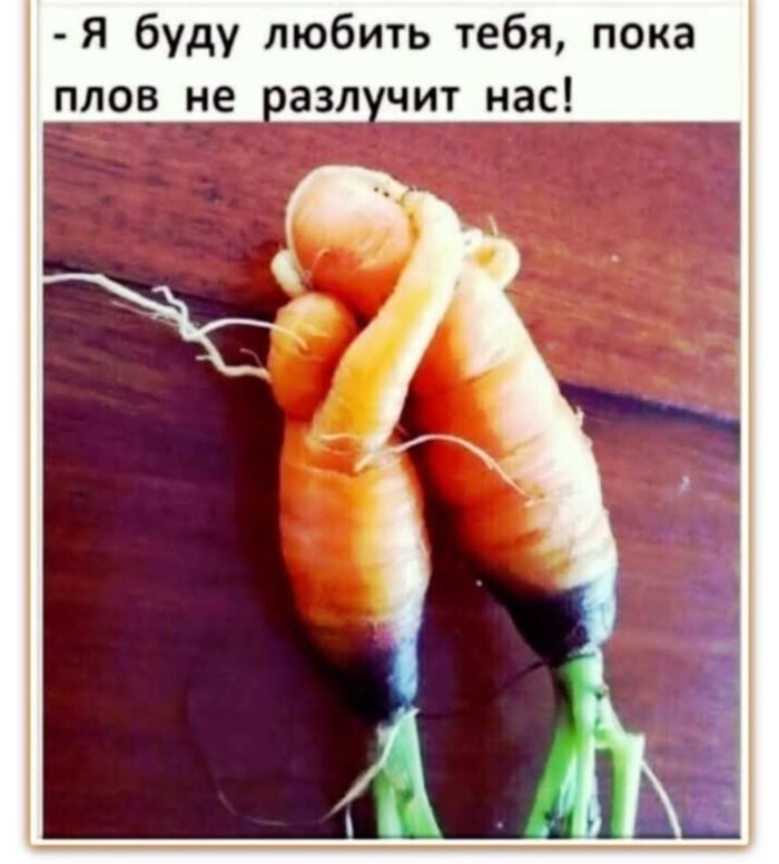   , , , , ,   