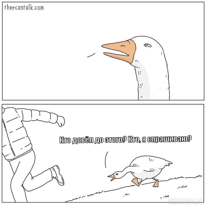   , , ,  ,   , , 