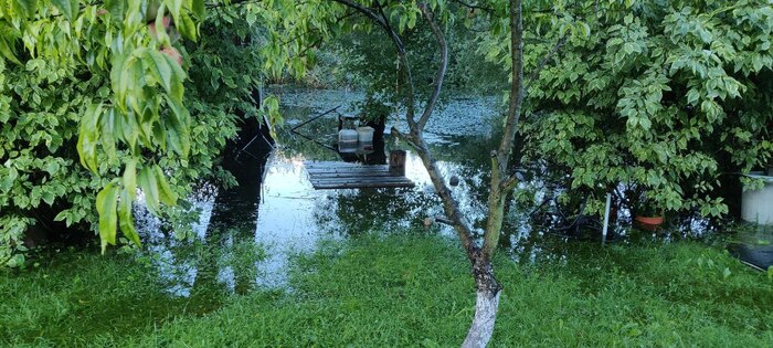 Озеро вышло из берегов вода поднялась примерно метра на полтора