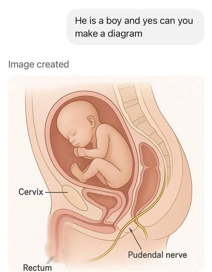 ChatGPT предложил беременной девушке иллюстрацию того, как выглядит ребёнок внутри её живота