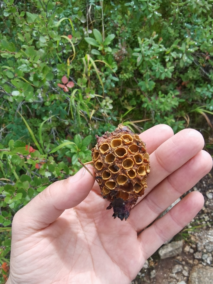       .     ,     &#x1F914;