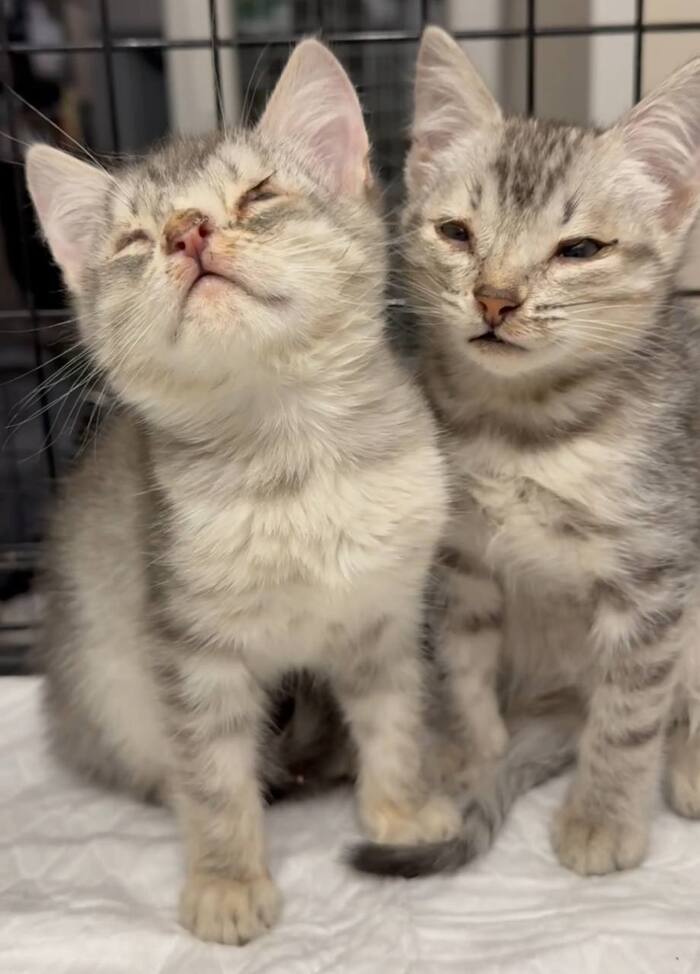 ������ ���� � ����� ����� �����