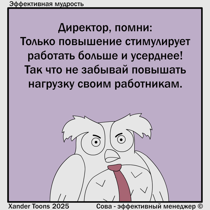         -  , Xander Toons, , , , , 