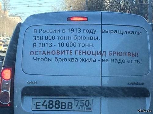 vlpkxbja.jpg
