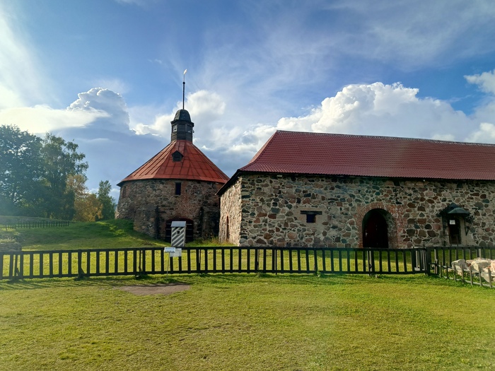 Корела