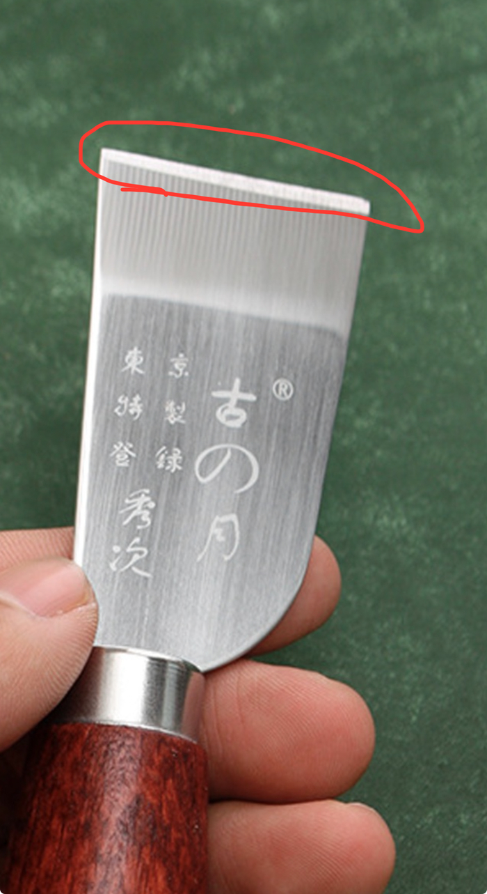 ���� ������ ��������