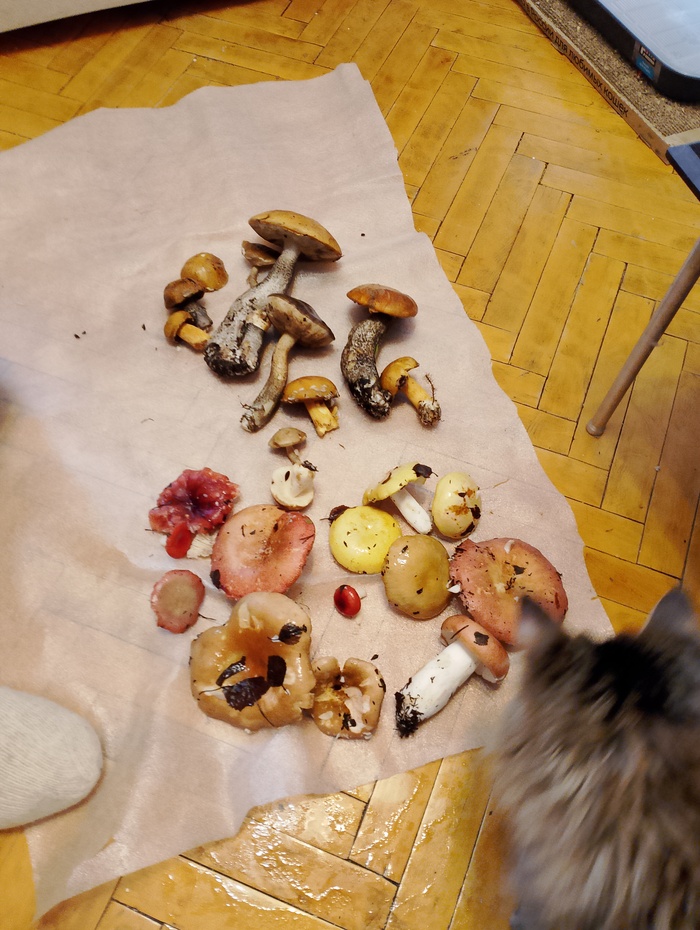    ,    , , , 
