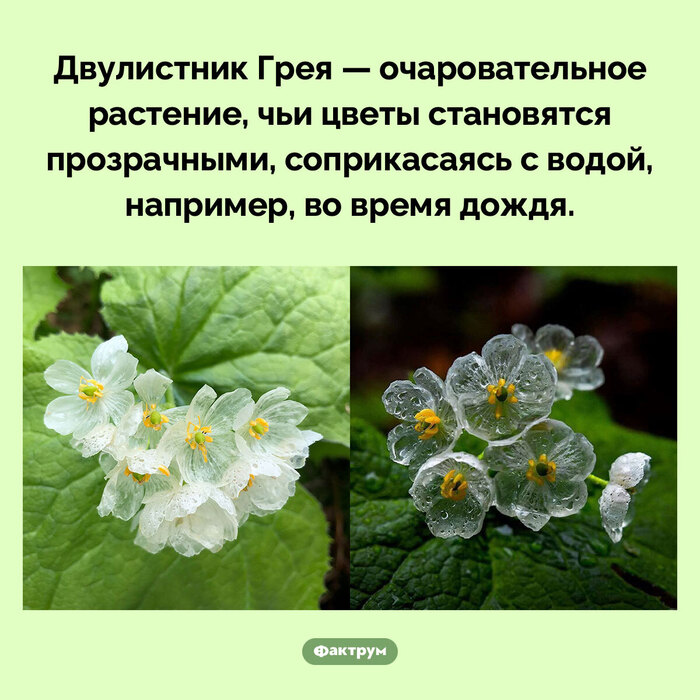  ...) , , , , 