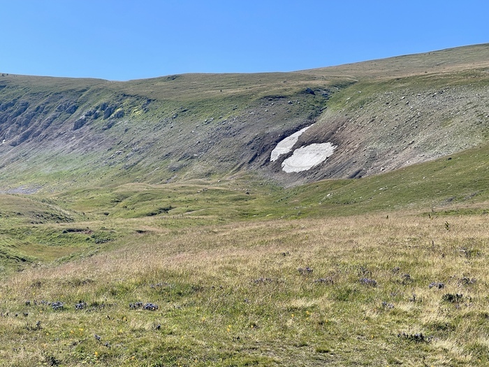 ������ � �������