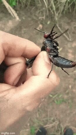    , , , 