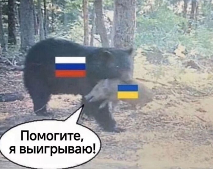 Объективная реальность