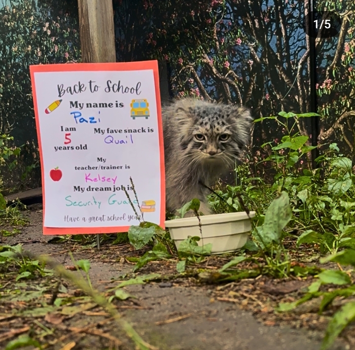 Пази желает успешного учебного года