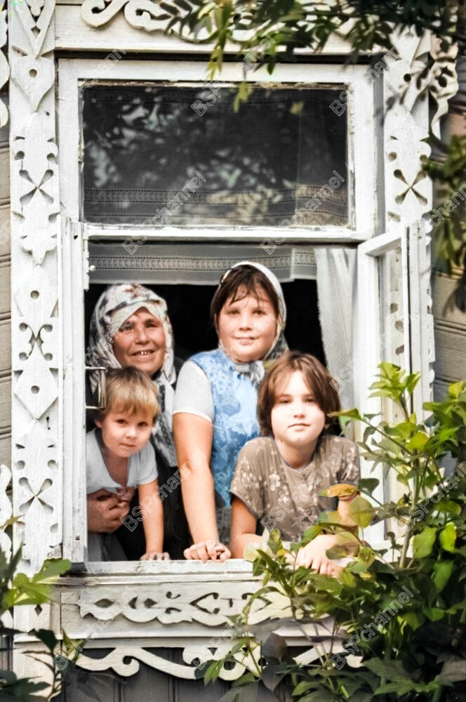 ��������: ������ ������