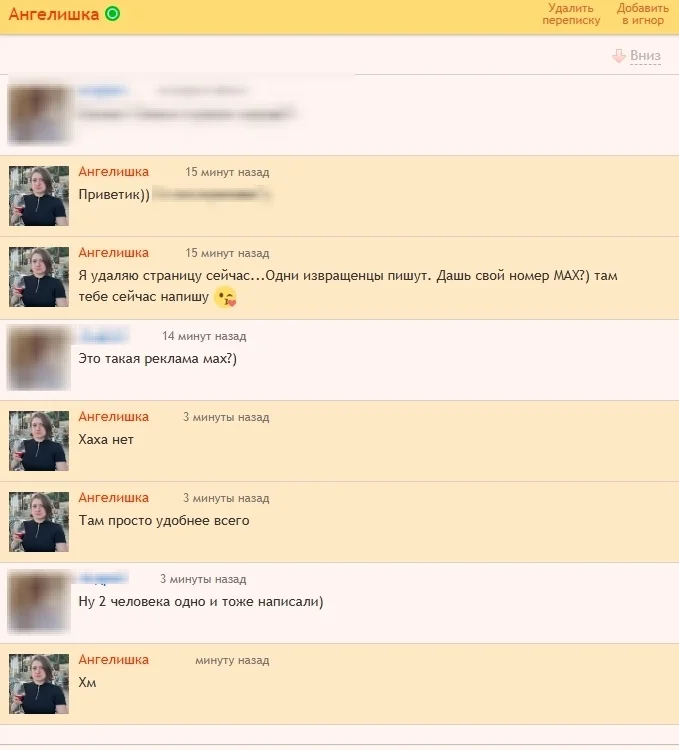 MAX, у вас там все нормально? ВКонтакте, Мессенджер MAX, Мессенджер, Мат, Длиннопост