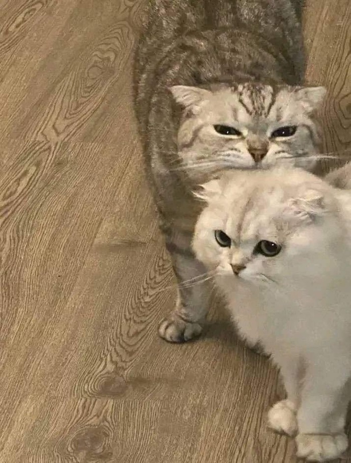  , 