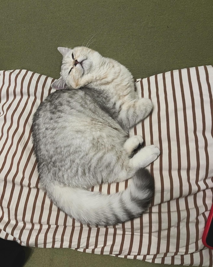  ,    ,  ,  ,  , , ,  , 